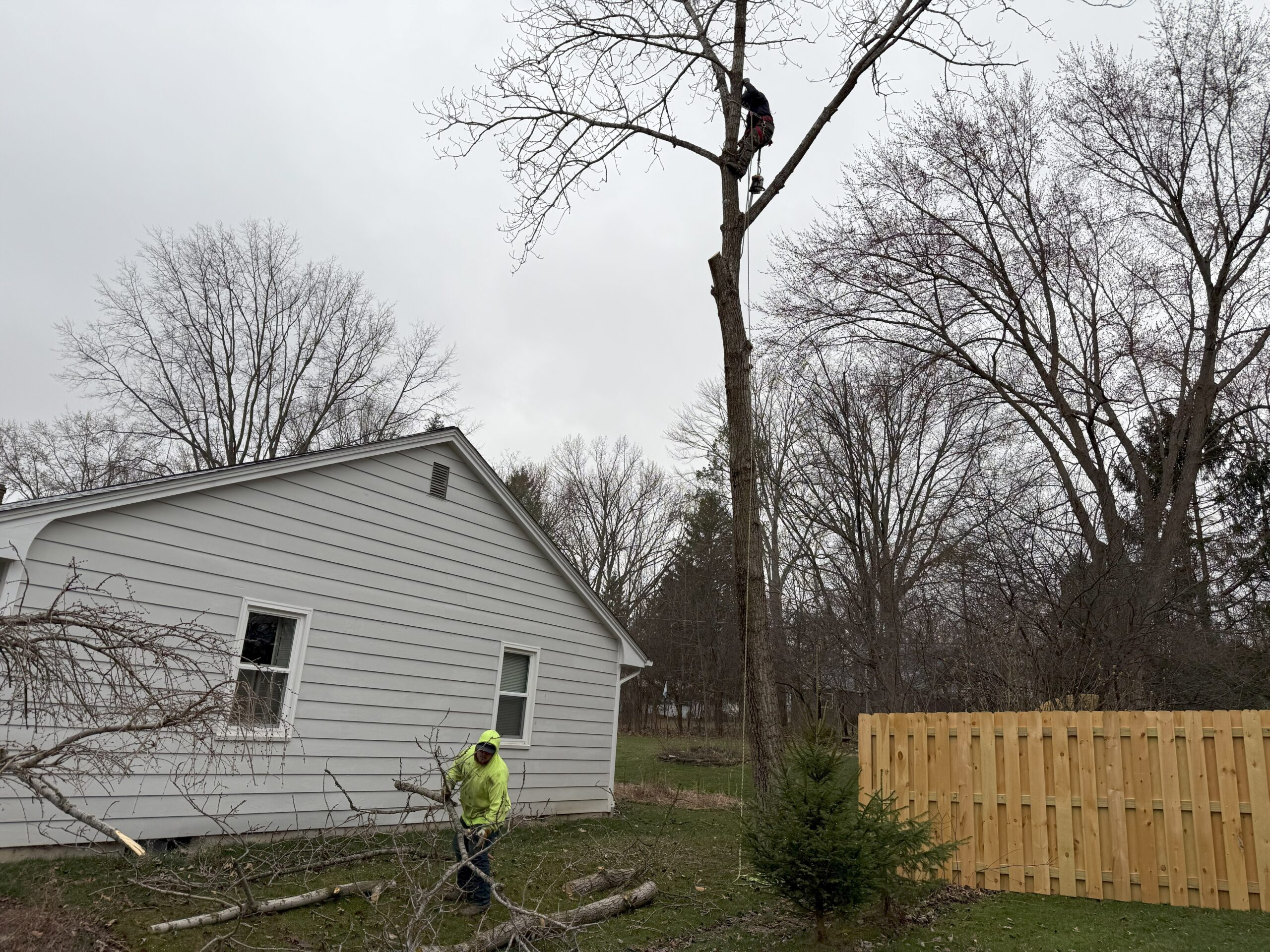R.A. Grounds Management crew on a tree removal job in Mentor, Ohio