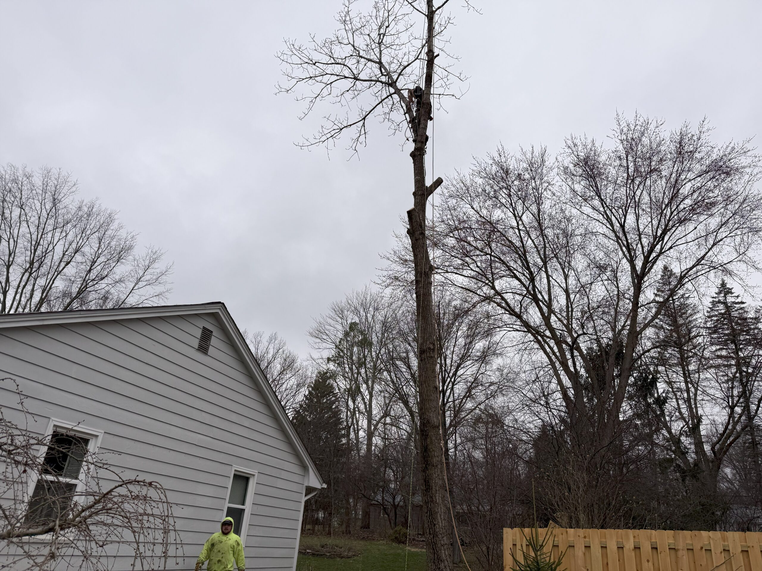 Tree service work by R.A. Grounds Management in Kirtland, Ohio