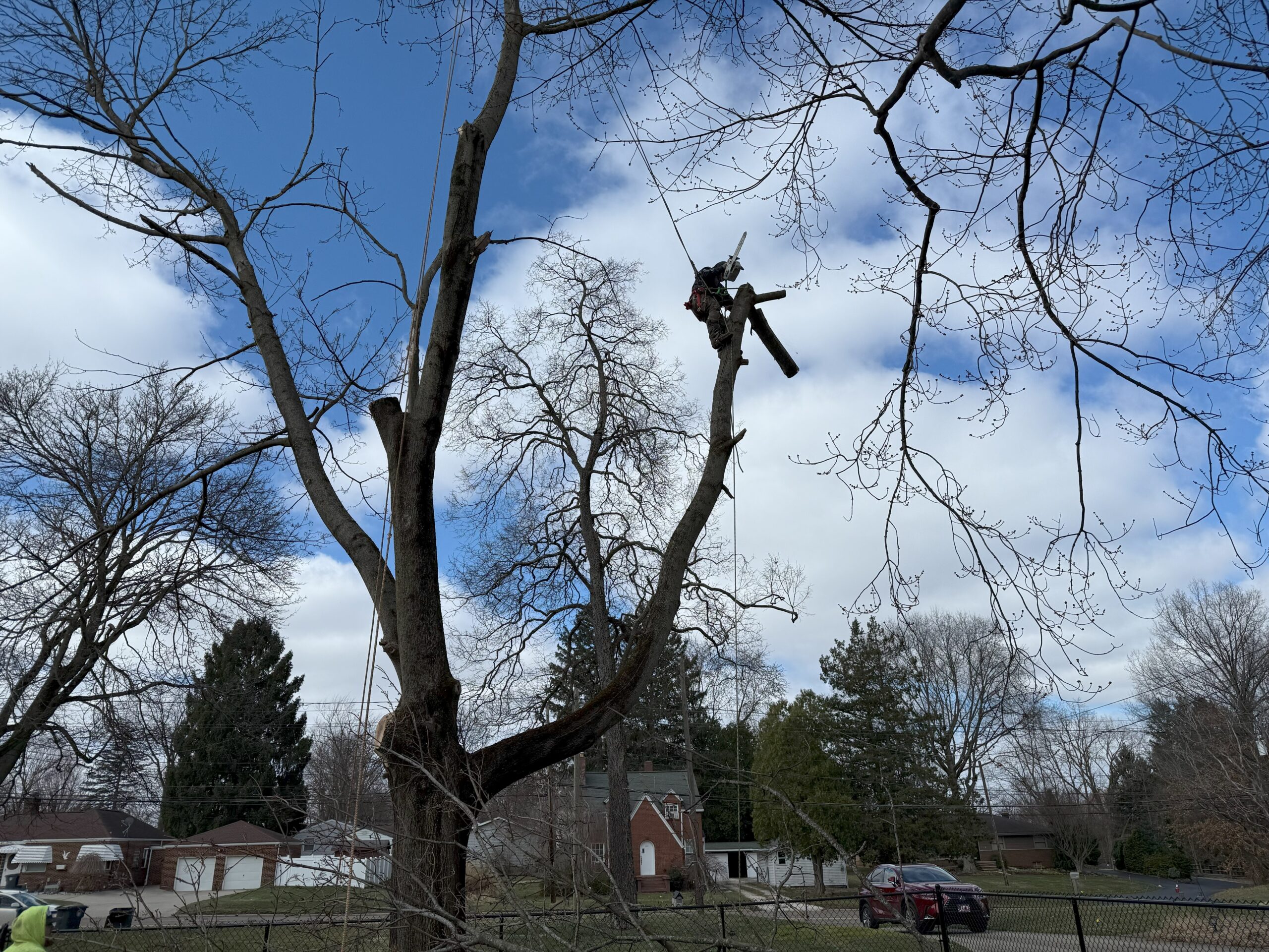 Completed tree removal by R.A. Grounds Management in Chardon, Ohio