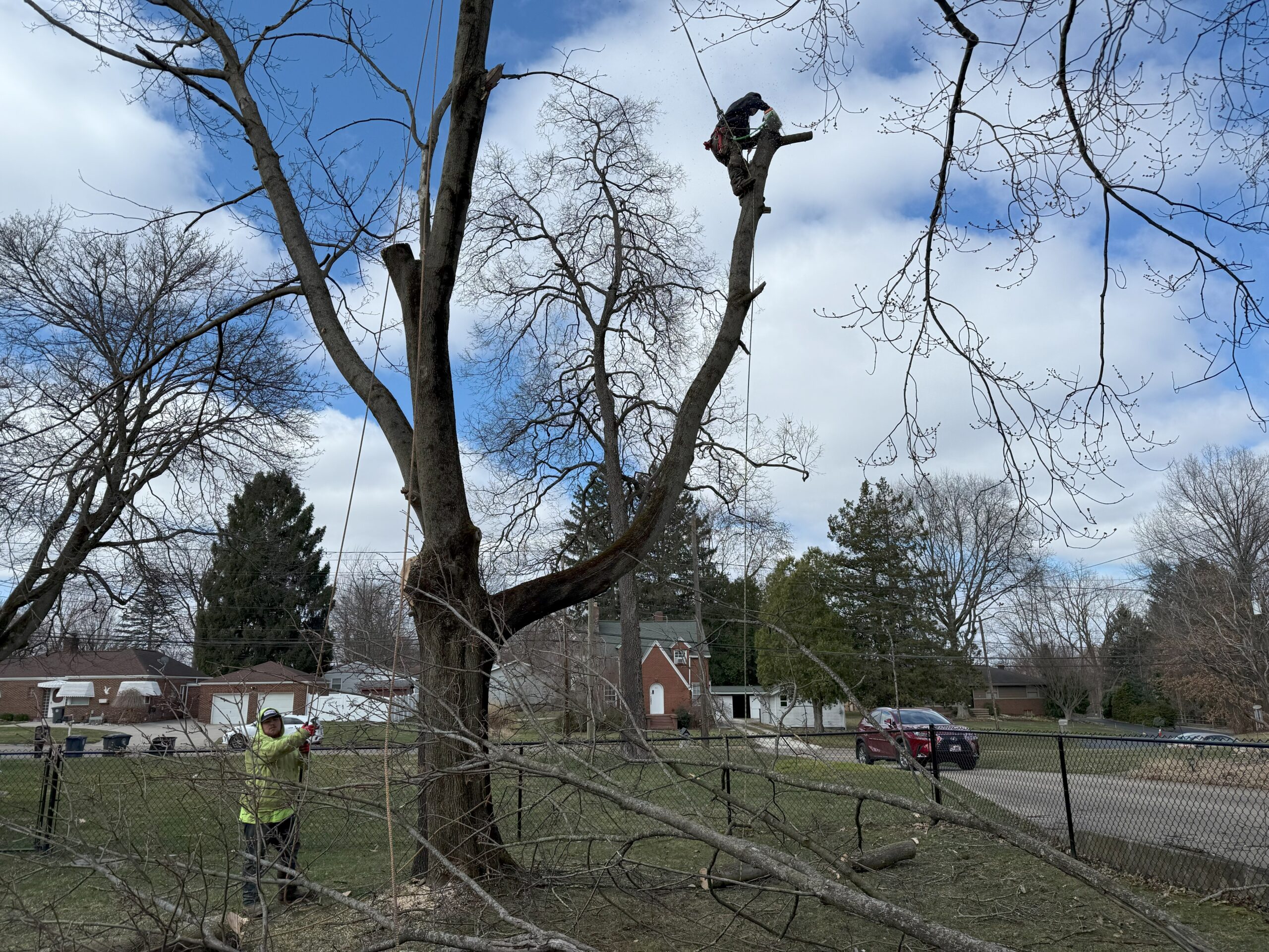 R.A. Grounds Management tree service in Painesville, Ohio